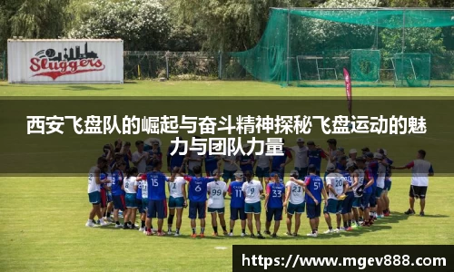 沐鸣平台官方网站