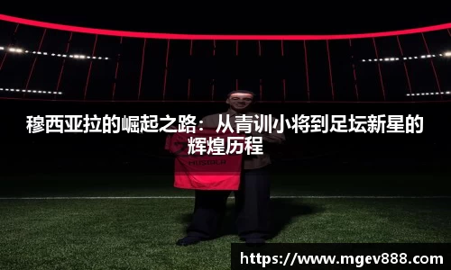 沐鸣平台官方网站