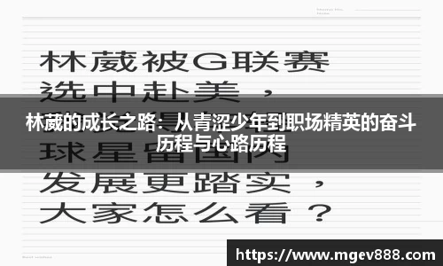沐鸣平台官方网站